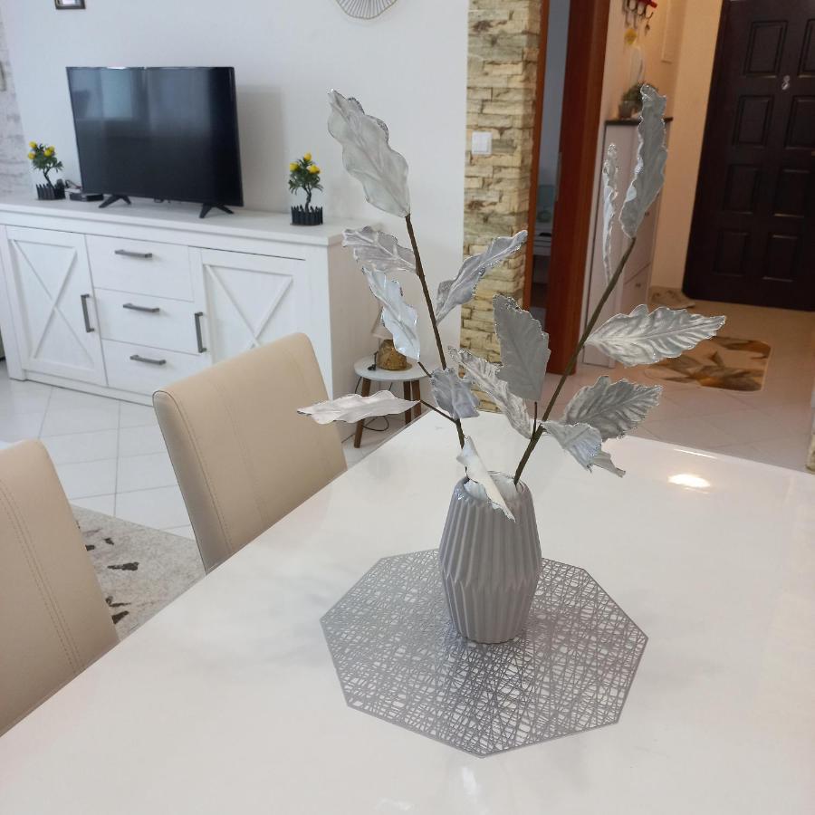 טרוגיר Apartman Pontis Okrug Gornji מראה חיצוני תמונה